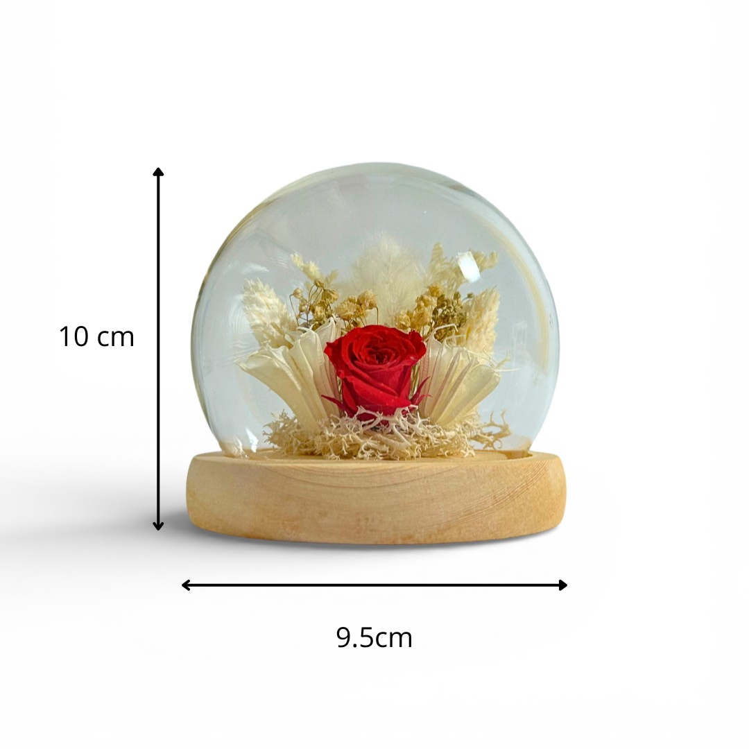 Composition Florale Sous Cloche Sphère – Rose Éternelle & Fleurs Séchées – Spéciale Saint-Valentin