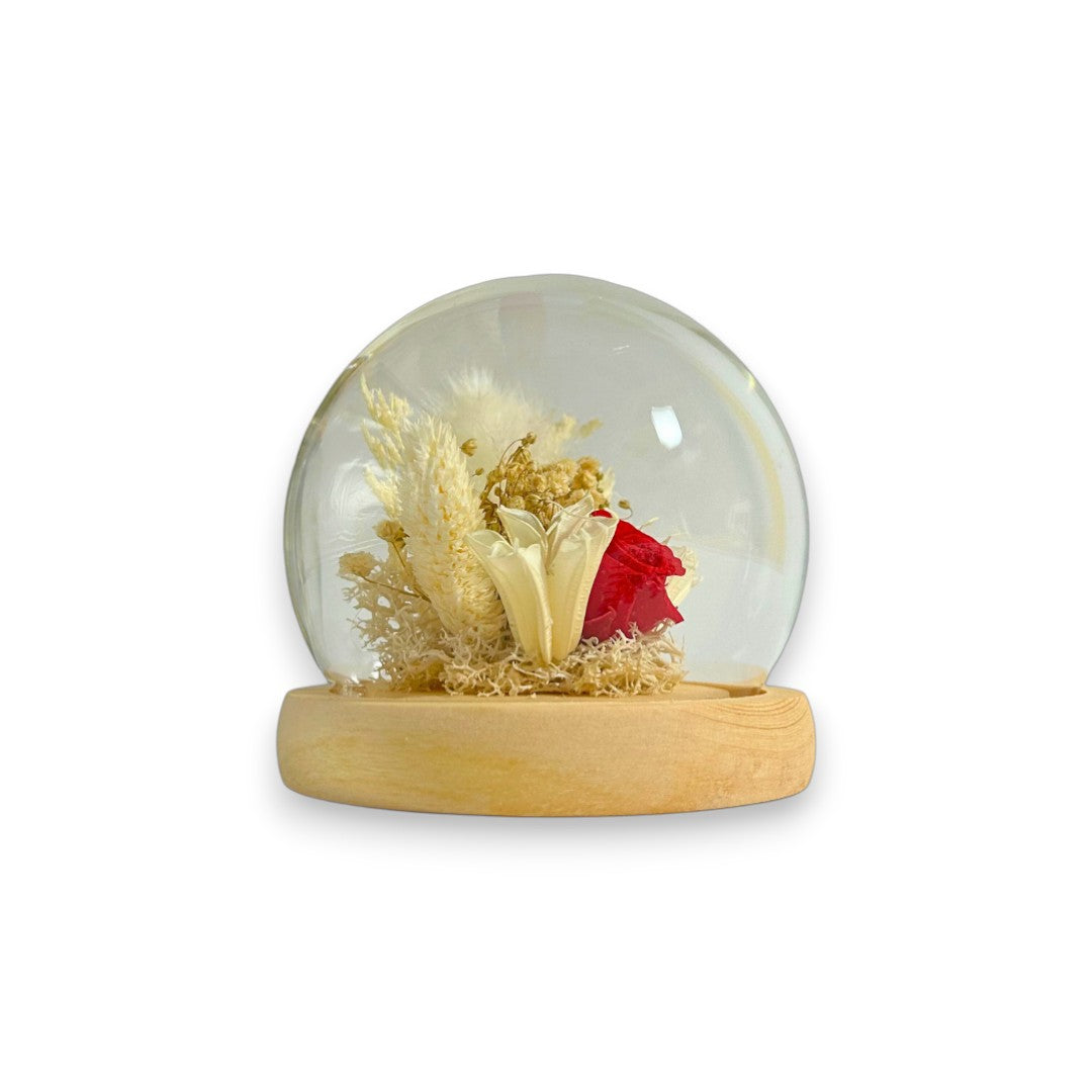 Composition Florale Sous Cloche Sphère – Rose Éternelle & Fleurs Séchées – Spéciale Saint-Valentin